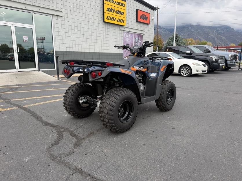 2026 KAWASAKI BRUTE FORCE 300 ATV