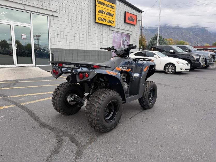 2026 KAWASAKI BRUTE FORCE 300 ATV