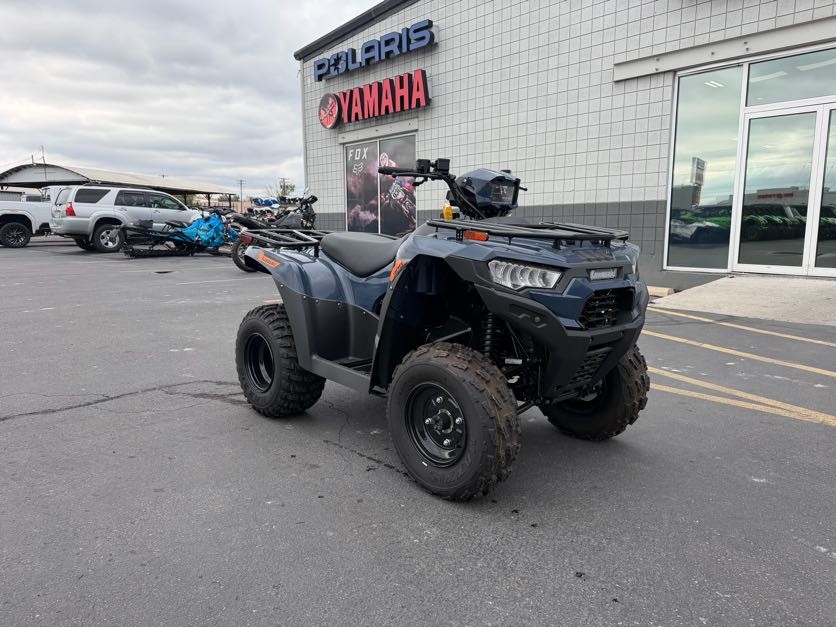 2026 KAWASAKI BRUTE FORCE 300 ATV