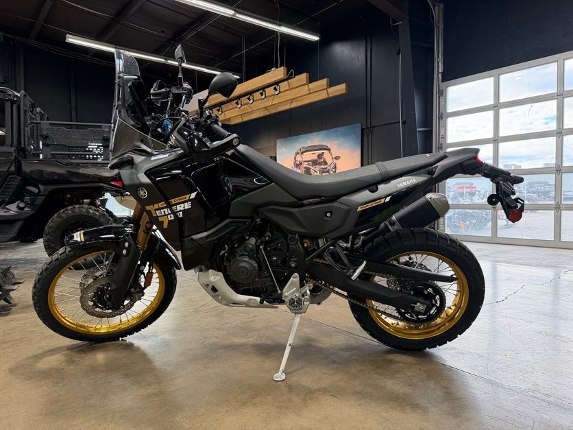 2026 YAMAHA TÉNÉRÉ 700 WORLD RAID UTV