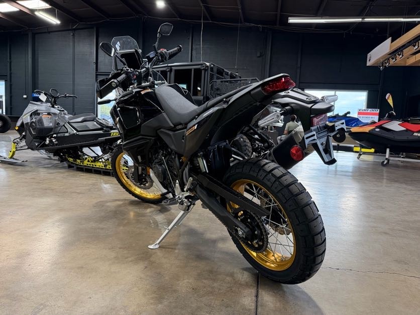 2026 YAMAHA TÉNÉRÉ 700 WORLD RAID UTV